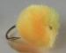 EGG Glo Bugs Cheese - 1 dozen
